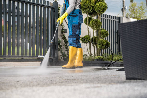 Best Driveway Pressure Washing  in Seeley, CA